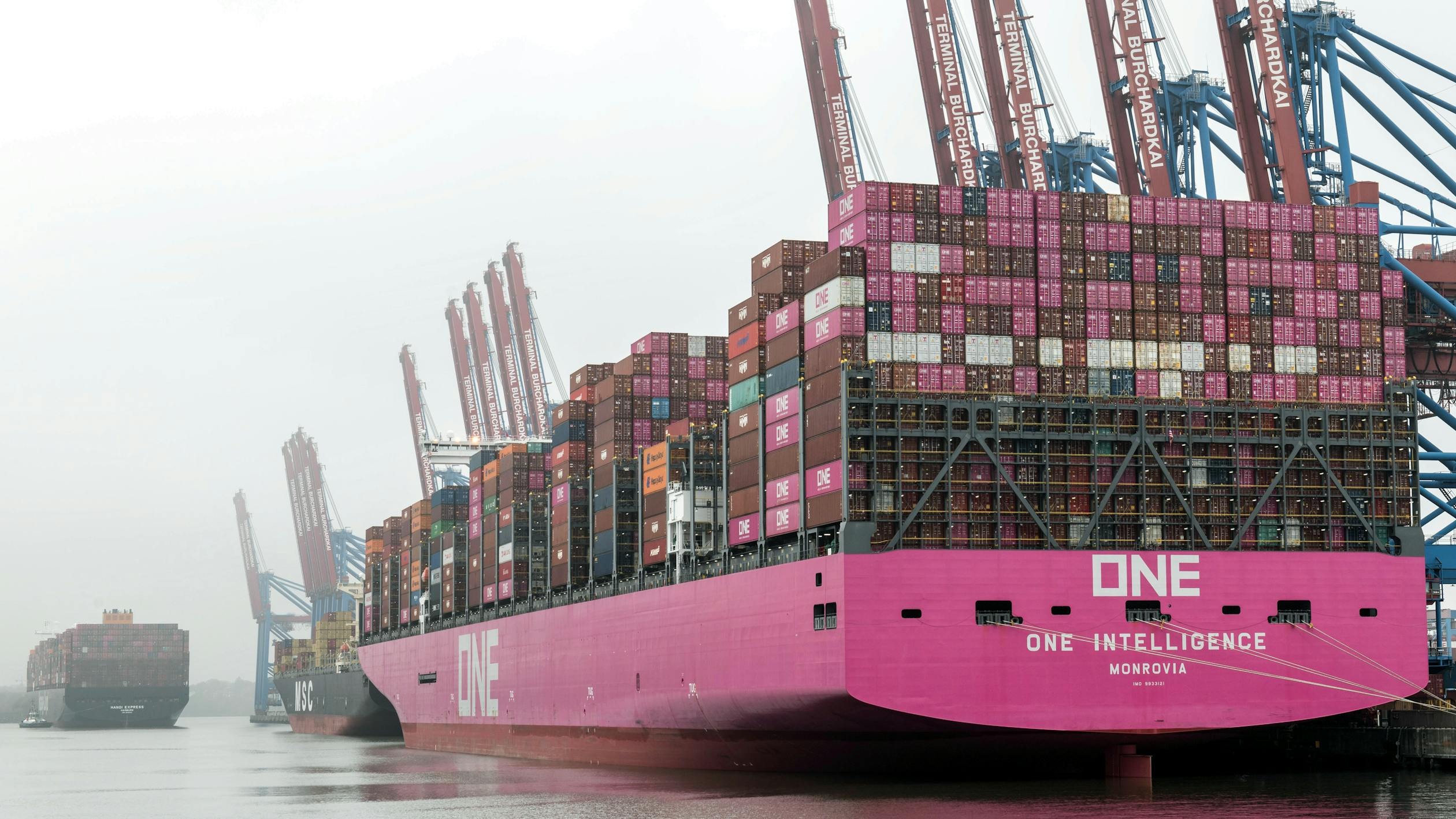 Container ships at Hamburg port representing European single market trade